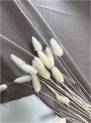 отрез 1 м перкаль 