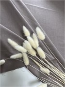 отрез 0,8 м перкаль 