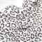 Футер 2-х нитка принт Вязаный Леопард коричневый хлопок 100% увеличенная ширина рулона 2,1 метр - фото 5534